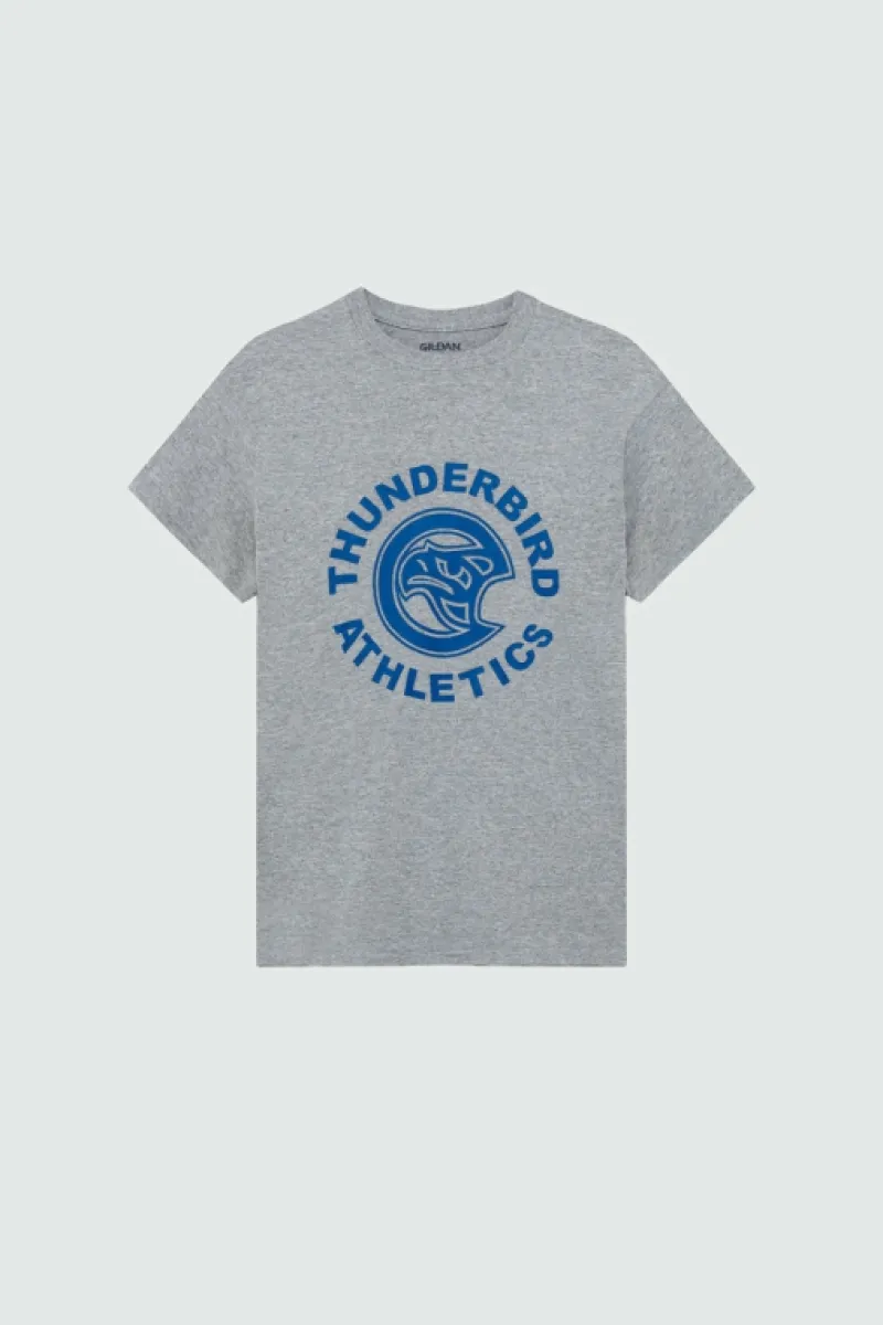 Roy Rogers Polo E T-shirts>T-shirt Vintage Stampa Thunderbird GRIGIO