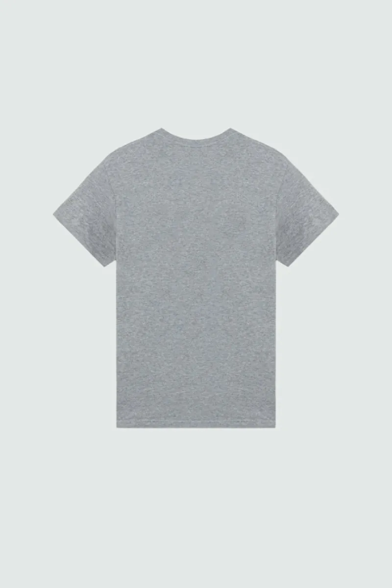 Roy Rogers Polo E T-shirts>T-shirt Vintage Stampa Thunderbird GRIGIO